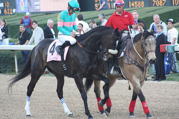 Zenyatta Lapel Hat Pin Nickel pink & teal Horse racing 