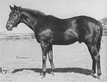 War Admiral (horse) - American Classic Pedigrees