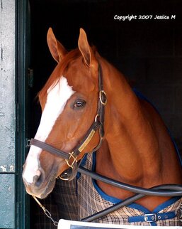 Rags to Riches (horse) - American Classic Pedigrees